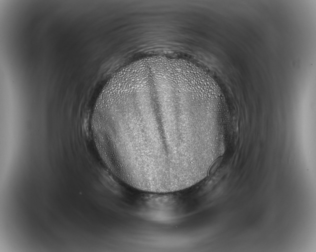 X0000086270185200704122036