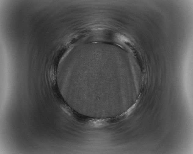 X0000086270186200704122036