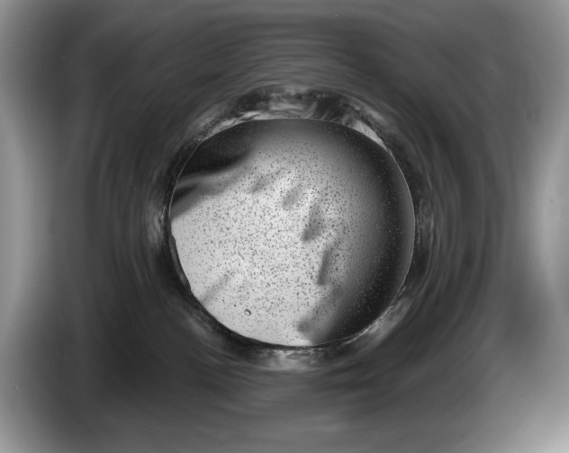 X0000086270188200704122036