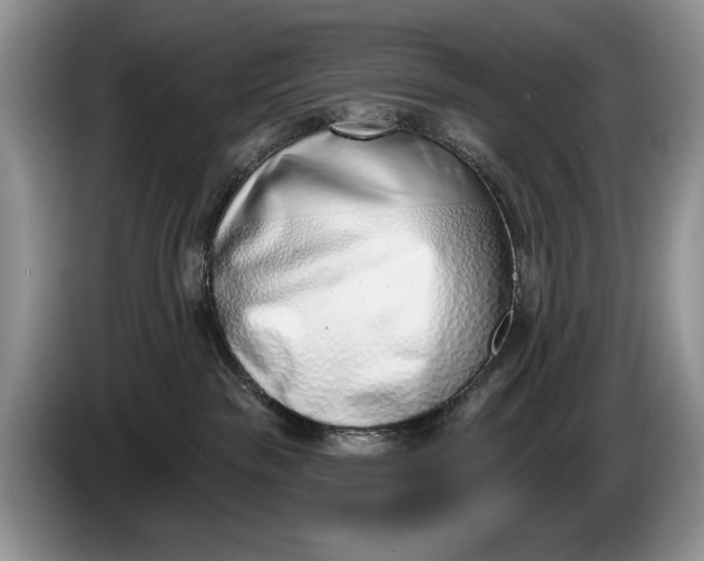 X0000086270189200704122036