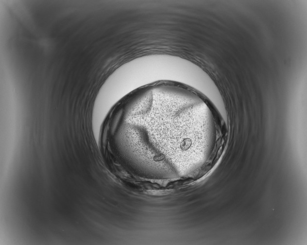 X0000086270190200704122036