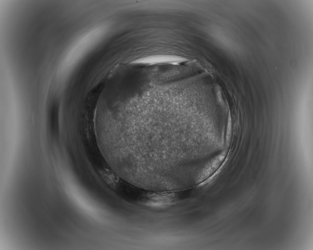 X0000086270191200704122036