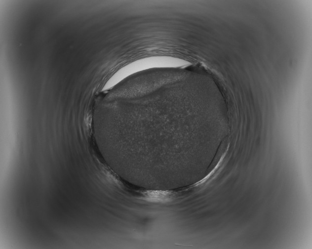 X0000086270192200704122036