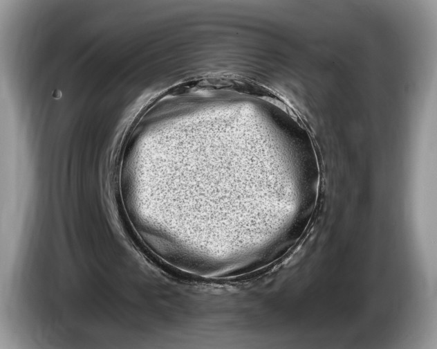 X0000086270193200704122035