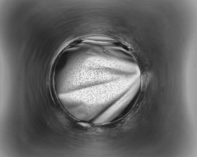 X0000086270195200704122035