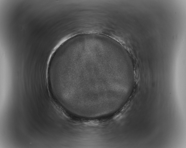 X0000086270196200704122035