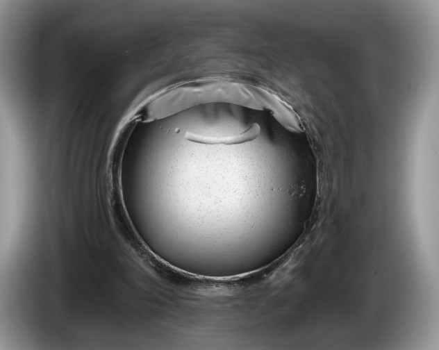 X0000086270198200704122035