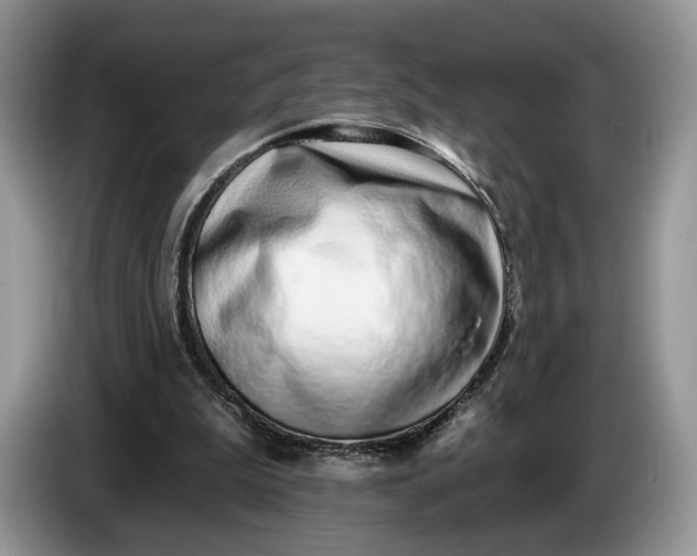 X0000086270199200704122035