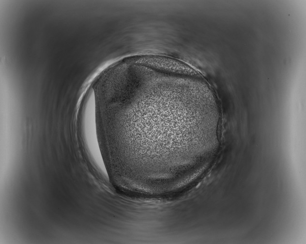 X0000086270200200704122035