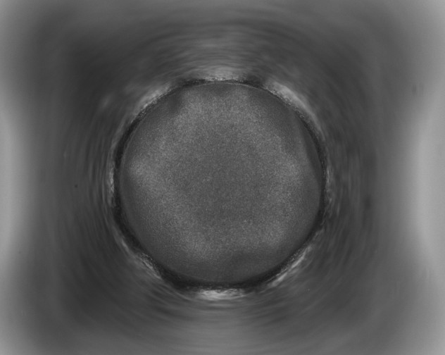 X0000086270202200704122035