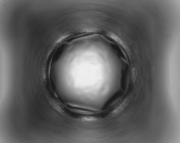 X0000086270203200704122035