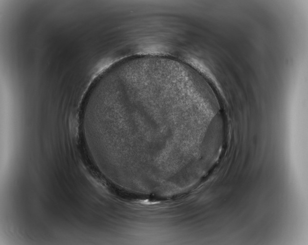 X0000086270204200704122035