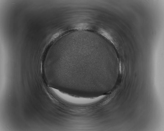 X0000086270205200704122035