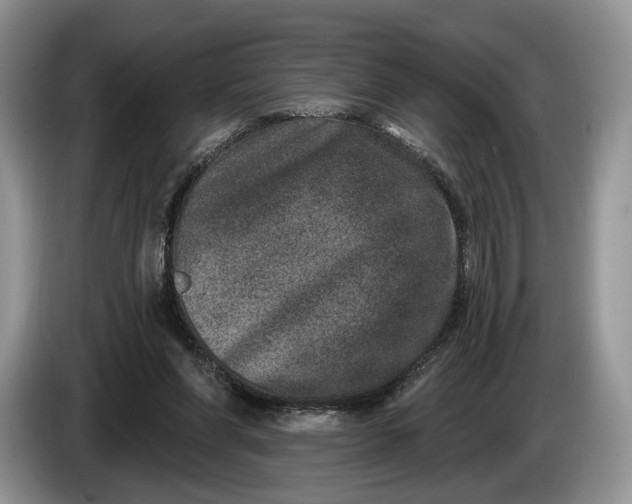 X0000086270206200704122035