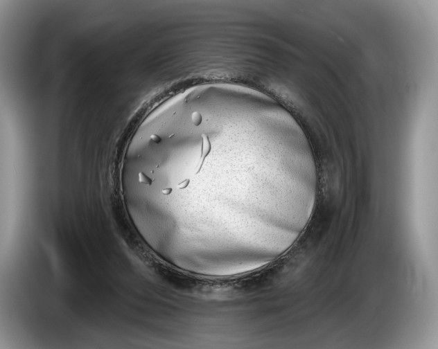 X0000086270208200704122035