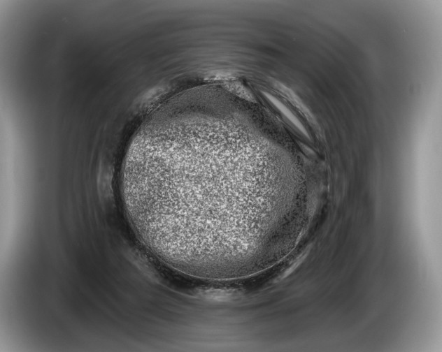 X0000086270209200704122035