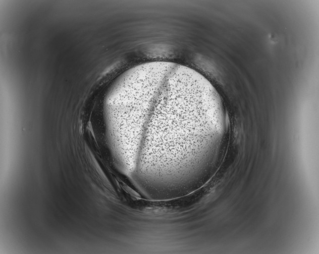 X0000086270211200704122035