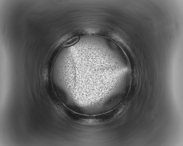 X0000086270212200704122035