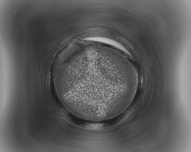 X0000086270217200704122035