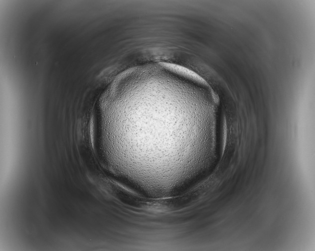 X0000086270218200704122035