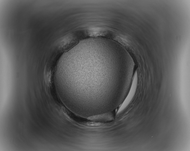 X0000086270219200704122035