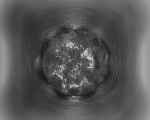 X0000086270222200704122035