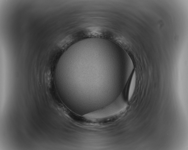 X0000086270223200704122035