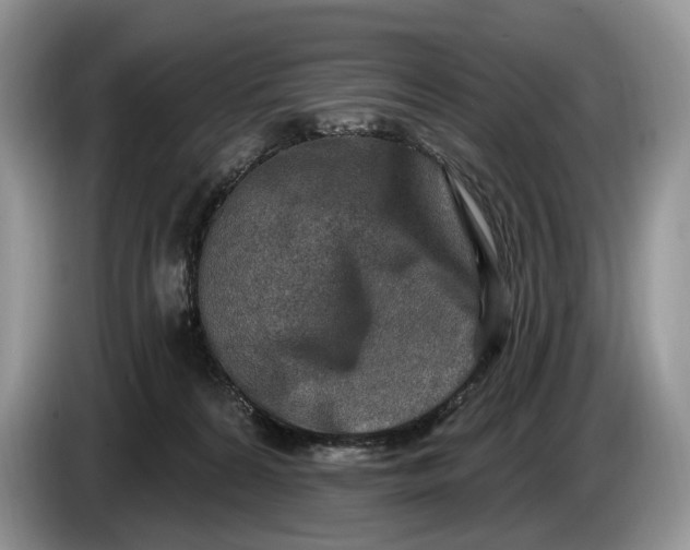 X0000086270224200704122035