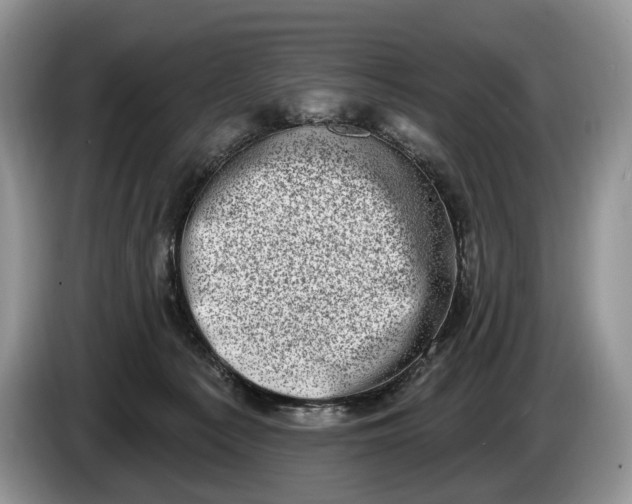 X0000086270225200704122035