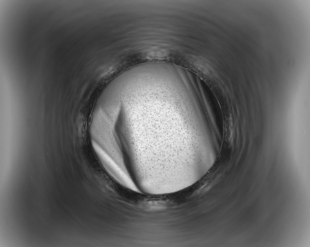 X0000086270228200704122035