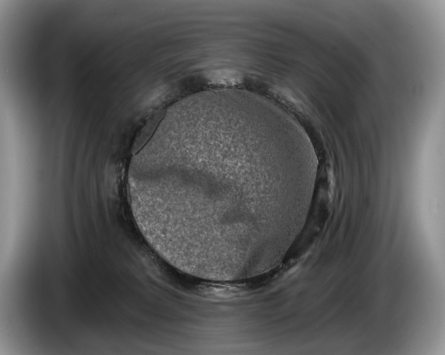 X0000086270229200704122035