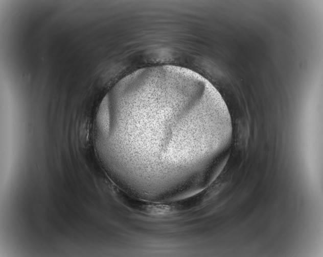 X0000086270230200704122035