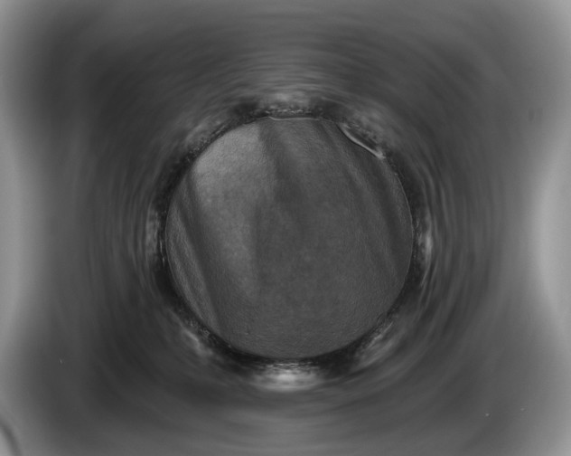 X0000086270231200704122035