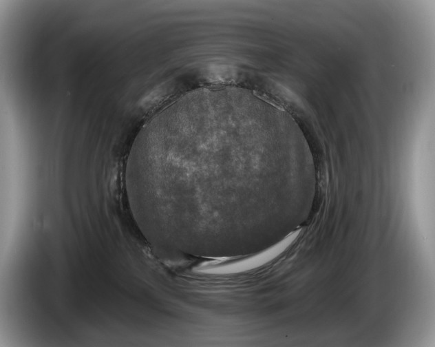 X0000086270233200704122035