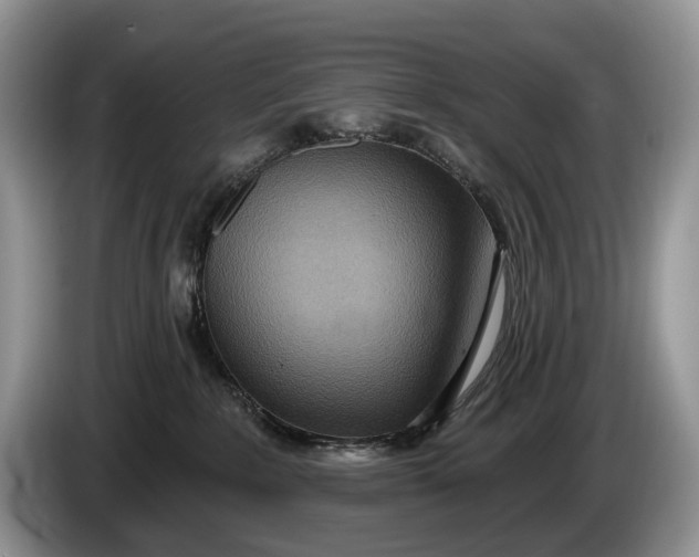 X0000086270235200704122035