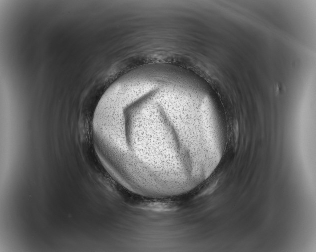 X0000086270236200704122035