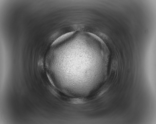 X0000086270238200704122035