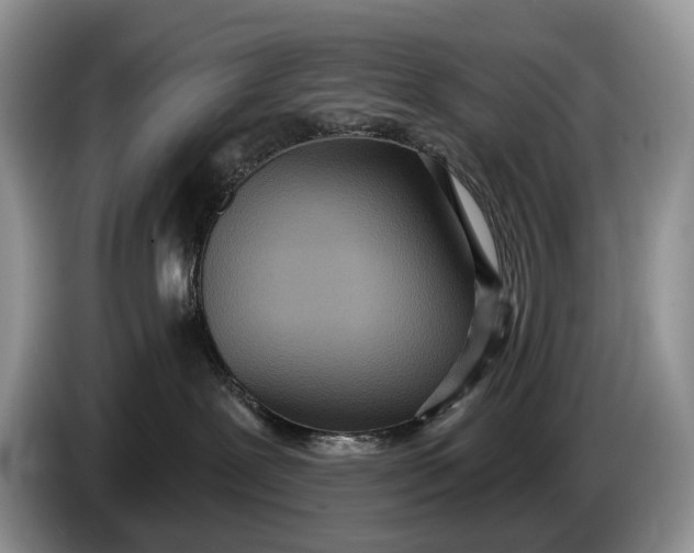 X0000086270239200704122035