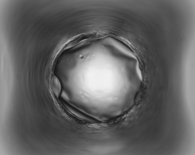 X0000086270241200704122034