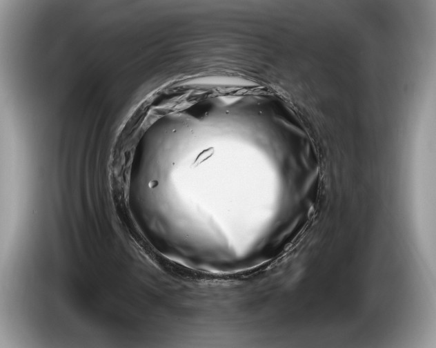 X0000086270242200704122034