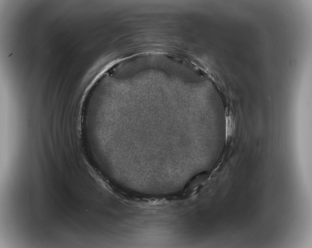 X0000086270243200704122034