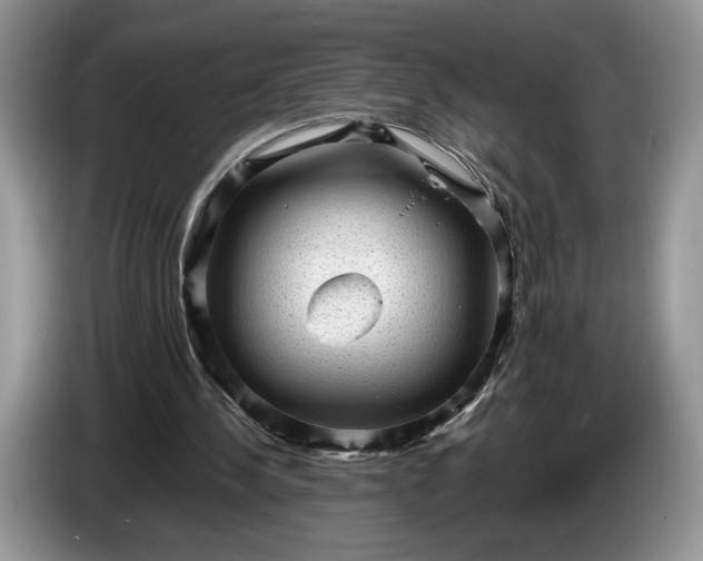 X0000086270244200704122034