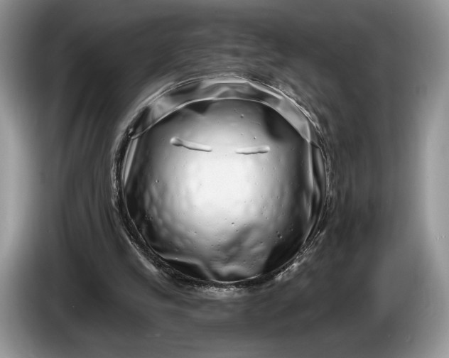 X0000086270245200704122034