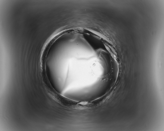 X0000086270246200704122034