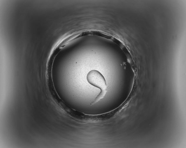 X0000086270248200704122034