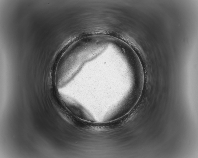 X0000086270250200704122034