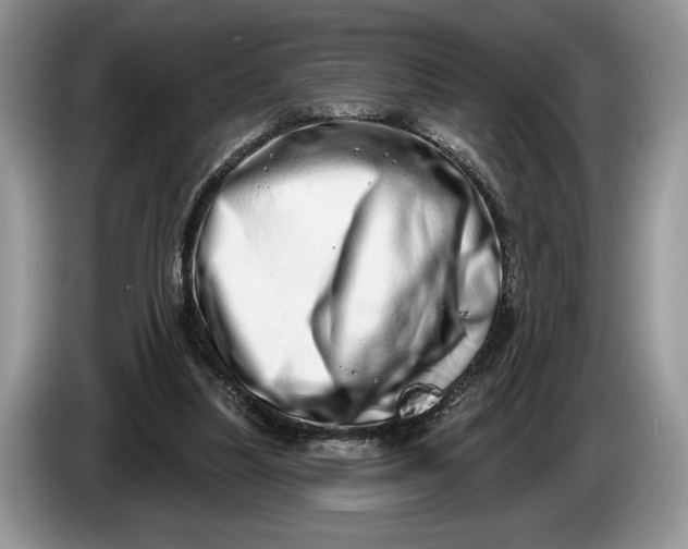 X0000086270251200704122034