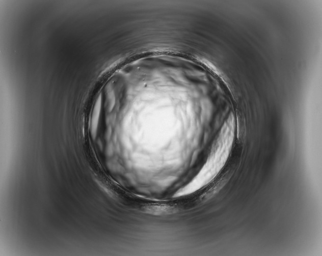 X0000086270253200704122034