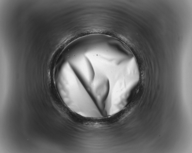 X0000086270254200704122034