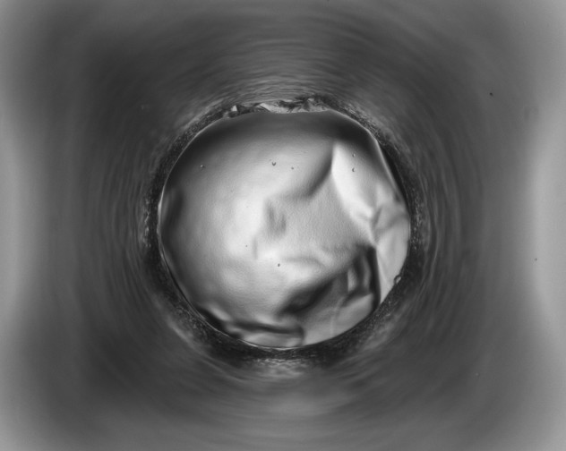 X0000086270255200704122034